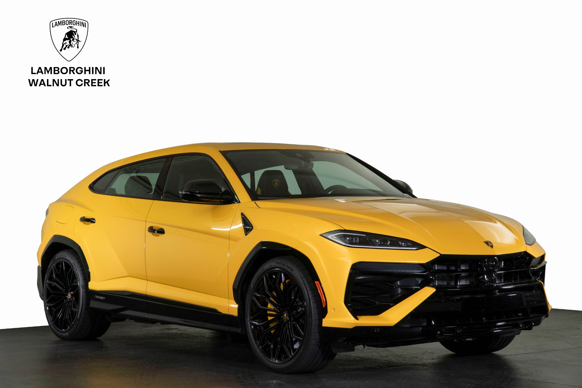 2025 Lamborghini Urus 4.0 V8 PHEV SE's photo
